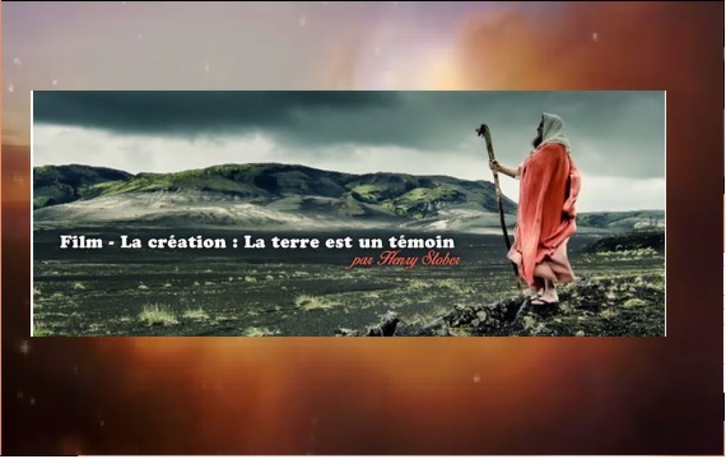 La création - La terre est un témoin